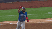 Point Up Blue Jays GIF by Toronto Blue Jays