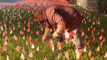 Texas Artist Plants Sea of Flags in Yard to Honor COVID-19 Victims as State's Death Toll Passes 15,000