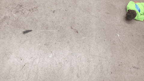 nscad GIF