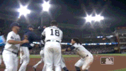 water walkoff GIF by MLB