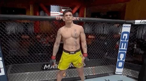 Sport Mma GIF by UFC