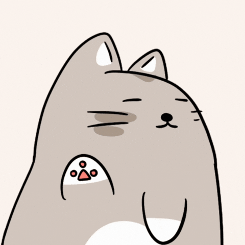 Cat No GIF by MESA My Emotional Support Animal