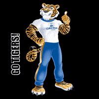 TCS go tigers tcs the columbus school GIF