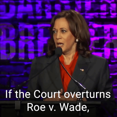 If the Court overturns Roe v. Wade...
