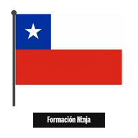 Flag Chile Sticker by Formación Ninja