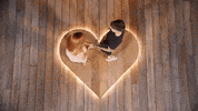 Bbc One Love GIF by BBC Three