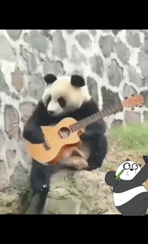 Guitar Panda GIF by EL ROCK ES CULTURA