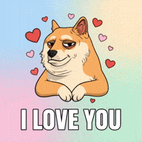 I Love You Hearts GIF by Doge Pound