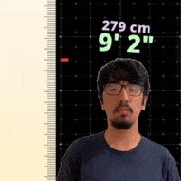 9' 2"