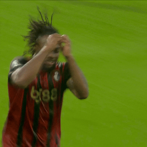 Happy Premier League GIF by AFC Bournemouth