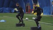 fury fc soccer GIF by Ottawa Fury FC