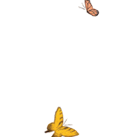 joanna gaines butterfly Sticker