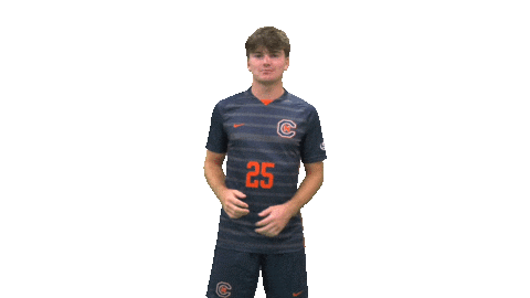 Seatbelt Sticker by Carson-Newman Athletics