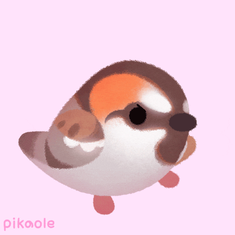 You Got This Bird GIF by pikaole
