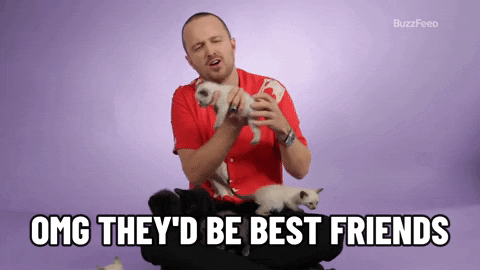 Aaron Paul GIF by BuzzFeed