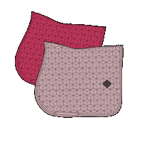 Horse Kentucky Sticker by Equitrends