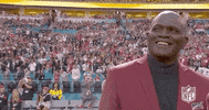 Super Bowl Football GIF by NFL