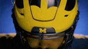 Go Blue College Football GIF by Michigan Athletics