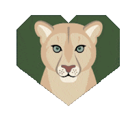 Big Cats Puma Sticker by Pantheracats