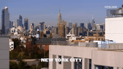 new york nyc GIF by Hustle