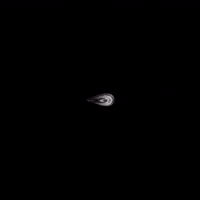 Black And White Life GIF by roberthruska