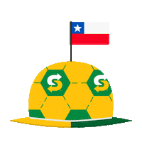 football futbol Sticker by Subway Colombia