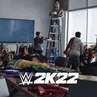Video Game Wwe GIF by 2K Games