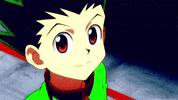 Gon Hunter X Hunter GIF