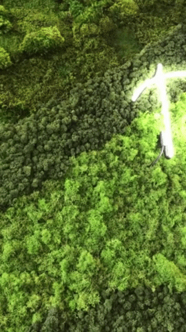 DACTINCo_LTD giphygifmaker dactin GIF