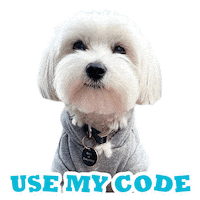 Morkie Sticker by Pimp Yo Pets