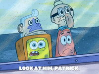 season 6 GIF by SpongeBob SquarePants