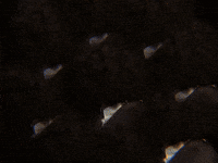 Happy Oh Yeah GIF by GIPHY IRL