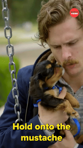 Hold Onto The Mustache For Safety