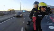 GIF by Studio Brussel