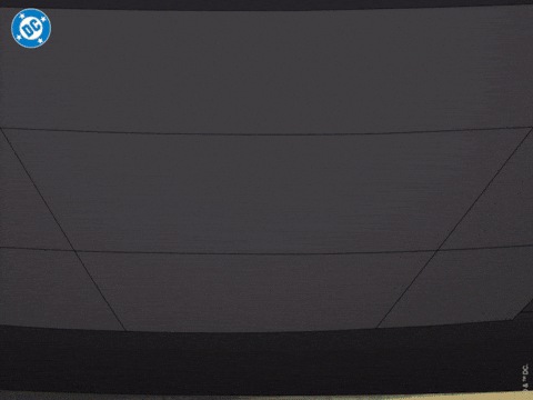 Swag Squad GIF by DC