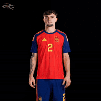 Fifa World Cup Spain GIF by Respective