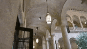 kansas city GIF