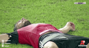 Arqam africa egypt zamalek afcon GIF