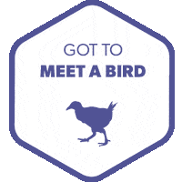 adventure go outdoors Sticker by NZMountainSafety