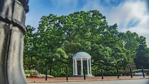 GIF by Blueforest Studios