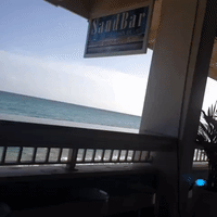 GIF by andymilonakis