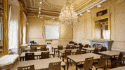 AAU_StudentCouncil  GIF
