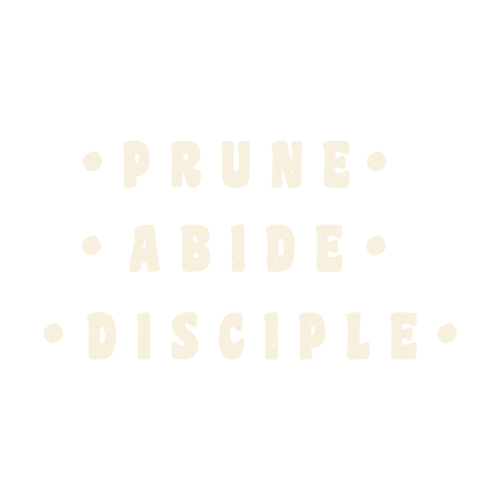 Lifeteen John15 Sticker by Life Teen International