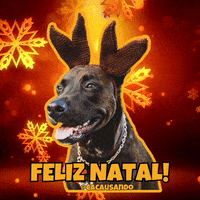 Dog Christmas GIF