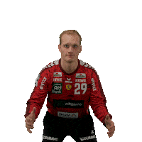Handball Rnl Sticker by DAIKIN HBL