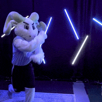 North Carolina Football GIF by UNC Tar Heels