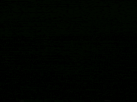 day psa GIF