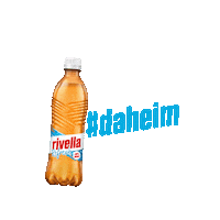 Switzerland Sommer Sticker by Rivella