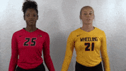 Wheeling University GIF by WU Cardinals