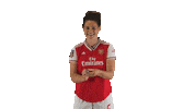 Arsenal Women Sticker by Barclays FAWSL